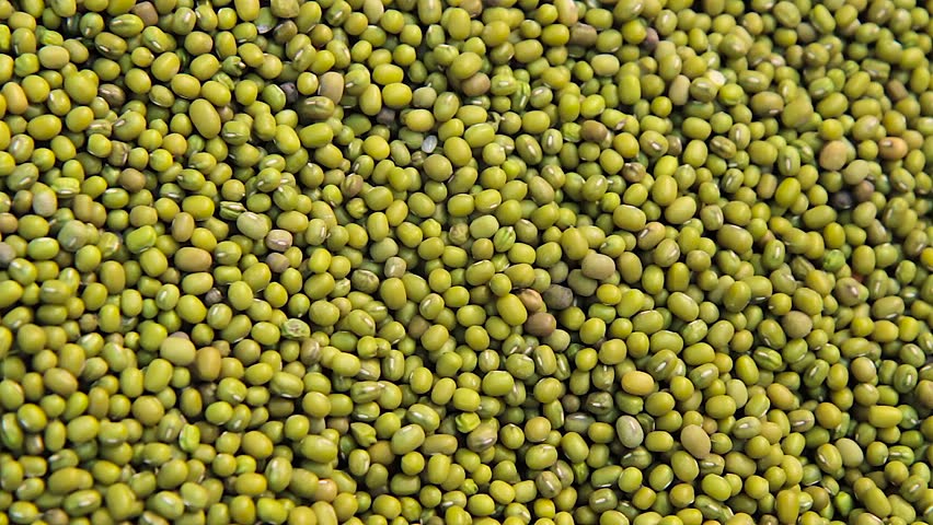 green lentils legumes bachground close up  V