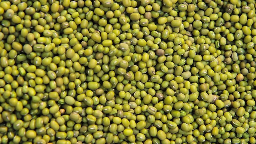 green lentils legumes bachground close up  V