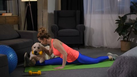 Gymnast female making longitudinal split and stretching muscles after productive workout on training mat in domestic interior. Golden retriever dog keeping dumbbell in mouth holding pet owner's leg