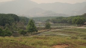 4K video of tea plantation landscape in Chiangrai province, Thailand.