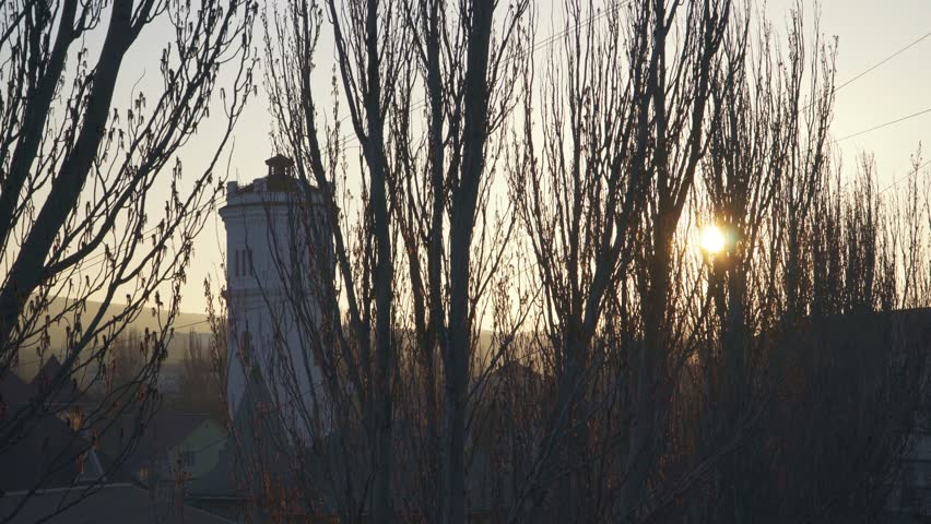 Big water tower behind the trees at sunset
