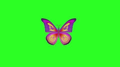 Animated Butterfly On Green Background Stock Footage Video 100 Royalty Free 7698577 Shutterstock