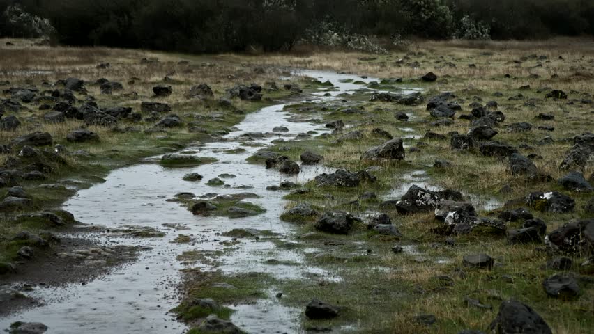 A view from the Lower Table Rock, in the Rogue Valley, Southern Oregon. Rain has flooded the trail, and continues to fall.