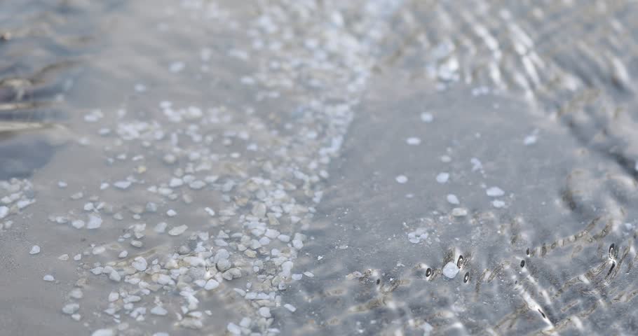 On the concrete slab are the remnants of reagents for cleaning from snow and ice | Shutterstock HD Video #1026432791