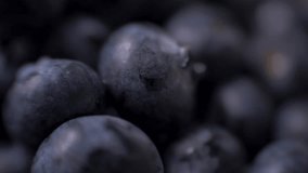 Detail of Blueberries. Macro trucking shot. 4K resolution top view.