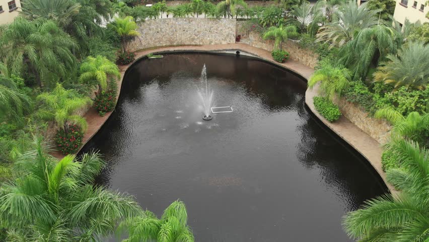 Garden pond with water fountain surrounded by palm trees