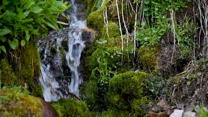 Running stream down the mountainside image - Free stock photo - Public ...