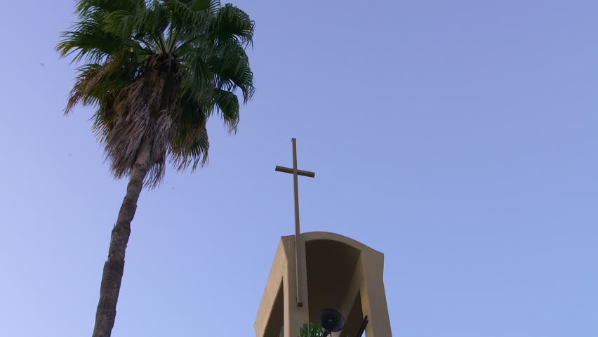 A church steeple with a tree next to it. Shot from a low angle in 4k.