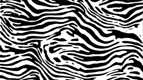 Black and white zebra pattern animation