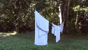 housekeeper woman take off dried clothes from outdoor rope between trees. Static shot. 4K