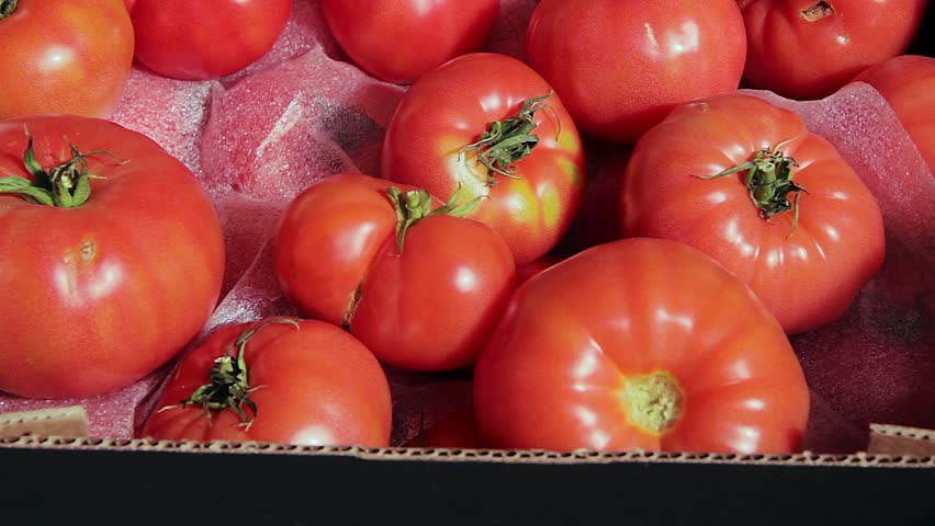 Download pink tomatoes digital assets | Creative Market