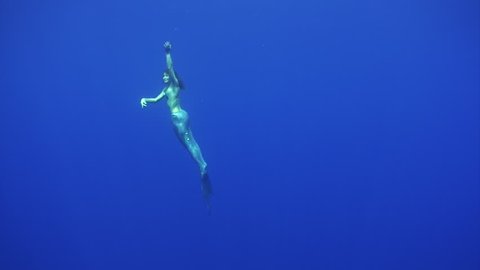 Blue Marlin fish swordfish Istiophoridae near freediver mermaid underwater blue sea. Unique rarest phenomenal video about girl and dangerous fish - sword Istiophorus platypterus on blue background.