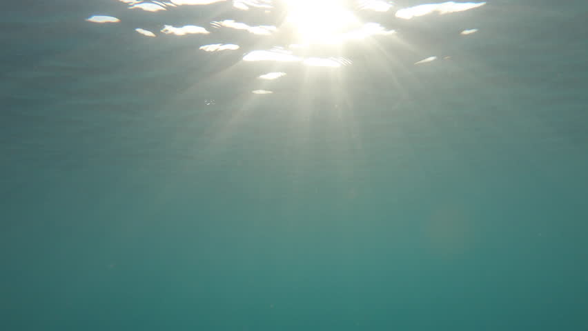 Underwater Sea scene view with Sun Light Rays  through the water's glittering 
 | Shutterstock HD Video #1026648077
