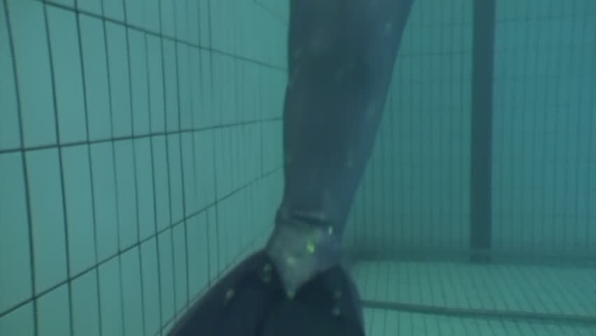 Mermaid underwater model in swimming pool. Young woman freediver swims in undine water nymph costume with monofiin.