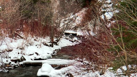 Icy River Runs Through Brown And Green Trees On Cool Winter Day In Ennis Montana