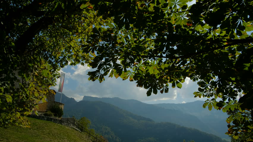 Sunlight shining through a beautiful tree with mountains in the background in the town of Chur, Switzerland. Smooth pan motion shot in 4K.