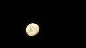 Full Moon in the Peruvian rainforest