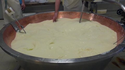 Preparation of Parmigiano Reggiano cheese in a dairy in Reggio Emilia/Italy