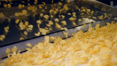 Fried potato chips falling into industrial conveyor at a factory.
