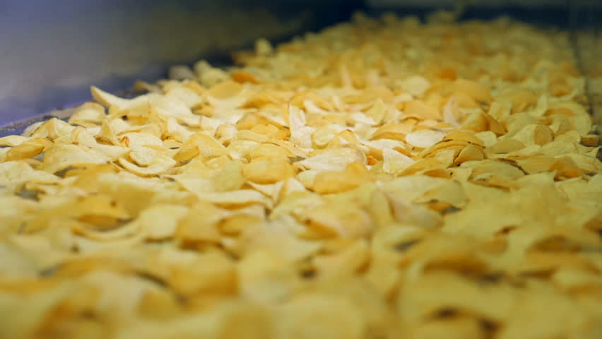 Industrial conveyor moving sorted potato chips in a facility.