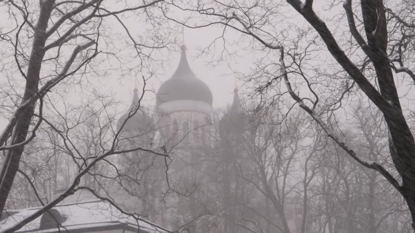 Tallinn under heavy snowstorm during winter with othrodox church in the distance and trees in foreground
