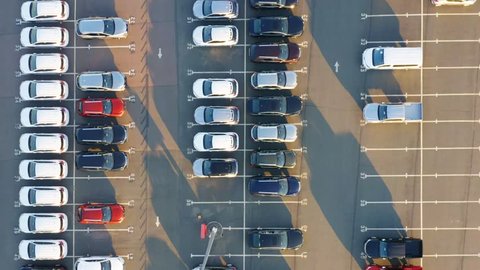 Aerial top view of the customs terminal parking lot with a rows of new cars on a sunny day
