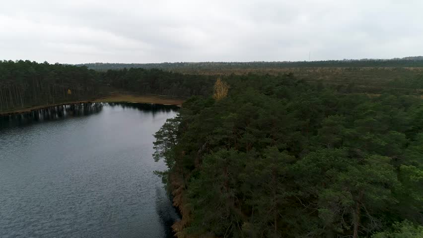 Colorful seasonal forests and bog lake in autumn time aerial footage