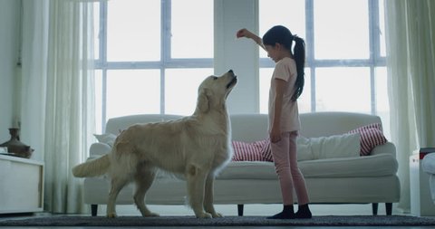 Slow motion of little girl playing and cuddling her dog in living room. 