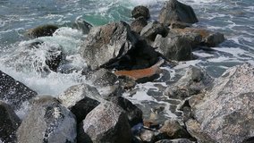 Glitch effect. Surf in the rocks. Ostia, Italy