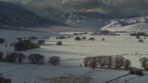 Aerial view of trees in remote valley near mountain range in winter / Wallsburg, Utah, United States