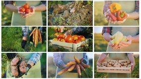 Collage of 9 videos on farming and harvesting
