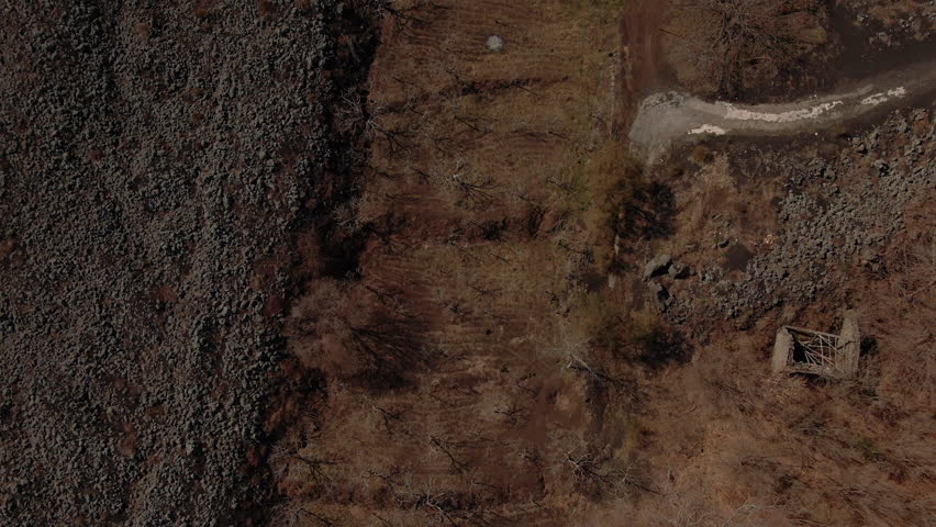 Aerial tilt up view over lava rock, trees and shrubs revealing mount Etna in Sicily