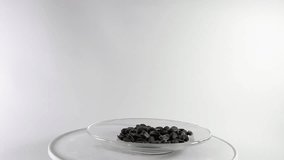 Video 360 degrees sunflower seeds on a plate. Useful product, vegetable component of nutrition. Isolated food on white background