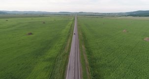 Aerial view of the car driving by the strait road in green meadow. Drone video of the green field with strait highway and driving vehicle. Ural, Bashkiriya, Russia.
