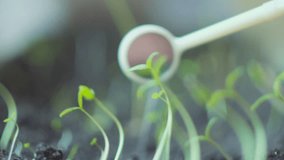 Scientist testing plant in laboratory - biotechnology and GMO concept - Powered by Shutterstock - Get 15% off with code: PIKWIZARD15