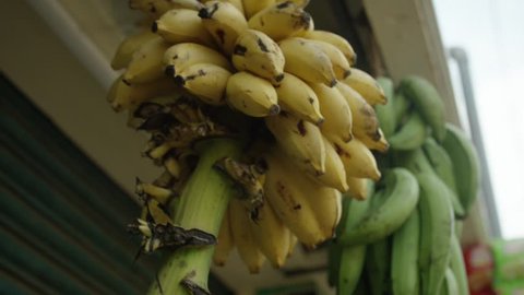 Small bananas selling in the market. Asia