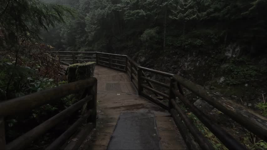 POV shot walking along a wooden board walk alongside the Capilano River in North Vancouver, Canada