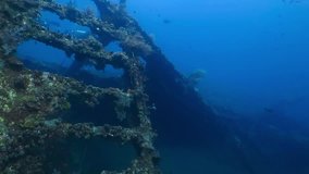 Old shipwreck in the blue ocean. Underwater remains of the ship. Swimming divers and fish, underwater video. Old wreck exploration footage. Marine life, scuba divers and ship.
