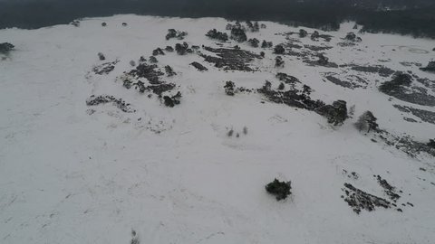 Flying over snow covered sand dunes with trees