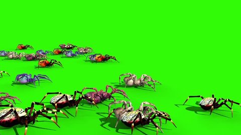 Group of Spiders Walks Green Screen Side 3D Rendering Animation
