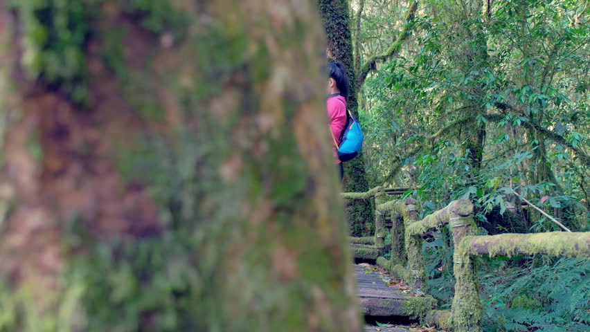 Dolly shot of Hipster traveler with backpack taking a picture and enjoying a beautiful nature.Travel concept.