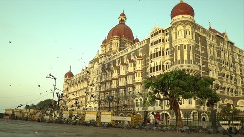 mumbai taj hotel pigeon flying