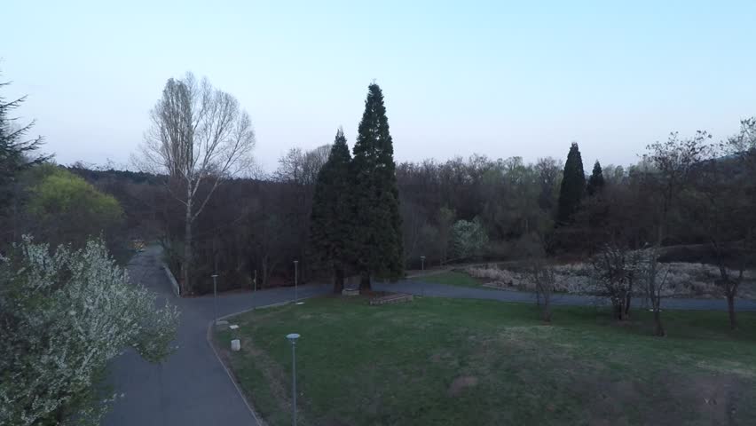 Close to the trees