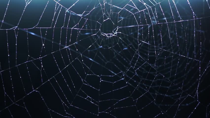 Double Spider Web On Black Stock Footage Video 100 Royalty Free 1026981161 Shutterstock