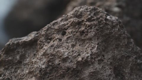 Close up macro shot of a vulcanic rock.