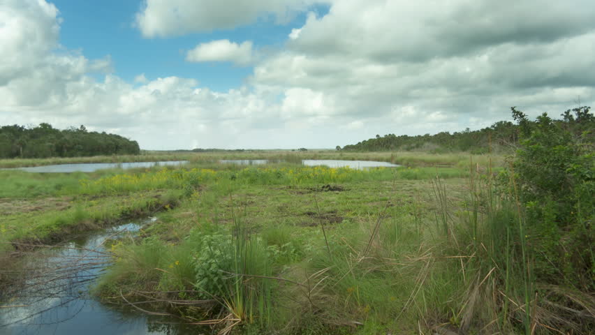 Peaceful pond and wetlands with blue skies and clouds