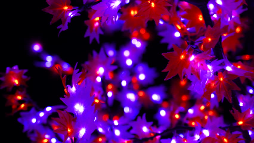 purple christmas lights