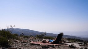 Western traveler girl practicing outdoor yoga in Oman, different poses in other clips available.