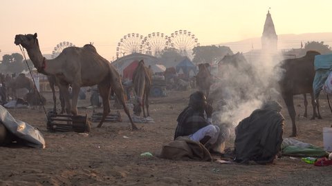 PUSHKAR, RAJASTHAN, INDIA - NOV 15: Rabari camel herders sit around smoky fire at sunrise on November 15, 2018 in Pushkar, Rajasthan, India