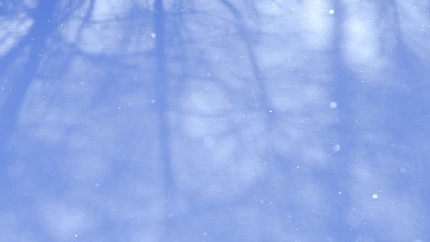 A snowy field and diamond dust | Shutterstock HD Video #1027023167